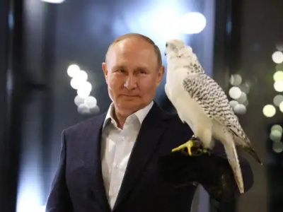 США стало не до шуток: рассказ Путина про «птичку» вызвал резонанс