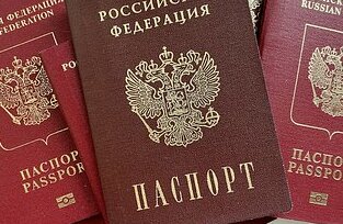 В РФ иностранцев, совершивших преступления, лишают гражданства