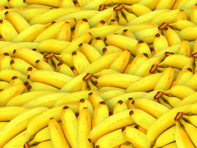 В Петербурге среди бананов из Эквадора нашли 60 кг кокаина