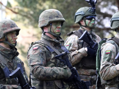 Эксперт о намерении Литвы отправить войска на Украину