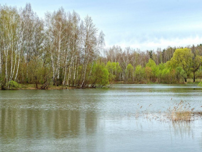 Резкое похолодание ждет нас в начале недели