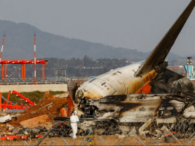 Находка в двигателях упавшего самолета Jeju Air удивила всех