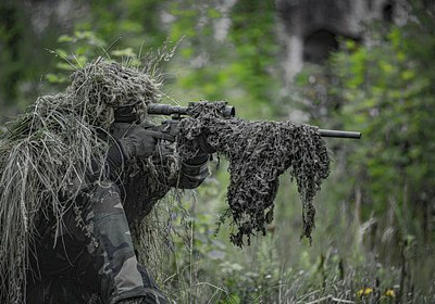 В России прокомментировали предложение о перемирии на Украине