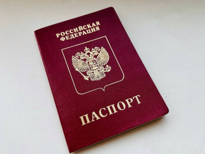 Госдума ограничила получение гражданства иностранцами с судимостью — партнерский материал